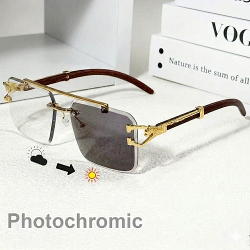 Trending Metallic Rimless Photosun Glasses - Front View